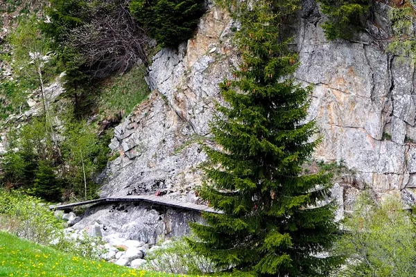 Passerella Legno Gola Fluviale Valle Medel Surselva Svizzera — Stockfoto