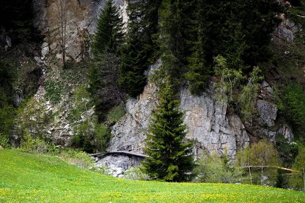 Passerella Legno Gola Fluviale Valle Medel Surselva Svizzera — Stockfoto