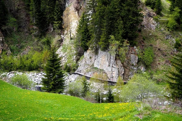 Passerella Legno Gola Fluviale Valle Medel Surselva Svizzera — Stockfoto