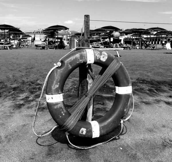 Life Buoy Deckchairs Umbrellas Bathers Sea Sun Beach Punta Marina — Stock Photo, Image