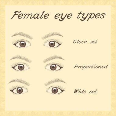 Various female eye types. clipart
