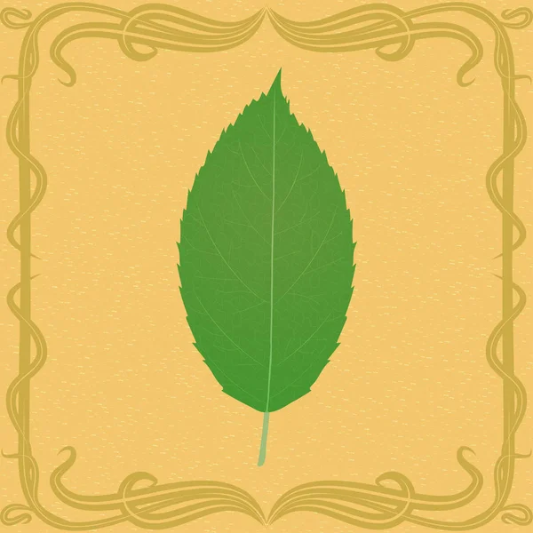 Apple Leaf ilustrace na vinobraní pozadí. — Stockový vektor