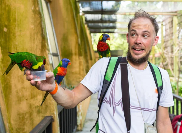 Homme avec des perroquets assis sur l'épaule et la tête — Photo