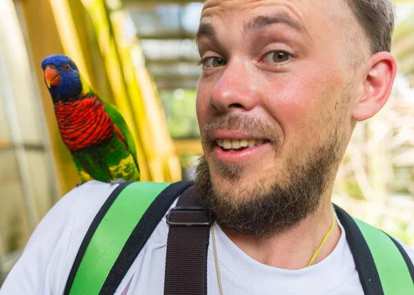 Hombre con loros sentado en el hombro y la cabeza —  Fotos de Stock