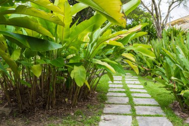 Tropikal Grove Kuala Lumpur şehir döşeli yolu