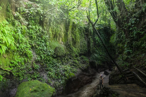 Hiking in the Jungle: an attractive young European tourist girl crossing a bamboo pedestrian suspension bridge over a tropical river on a trail in Asia, Khao Yai National Park, highlight of Thailand — Stock Photo, Image