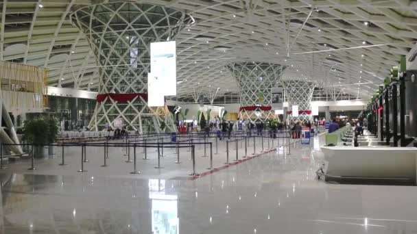 Aeroporto Terminal Gate dolly shot — Vídeo de Stock