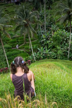 Güzel kadın güzel tegallalang pirinç teras Bali, Endonezya bakarak