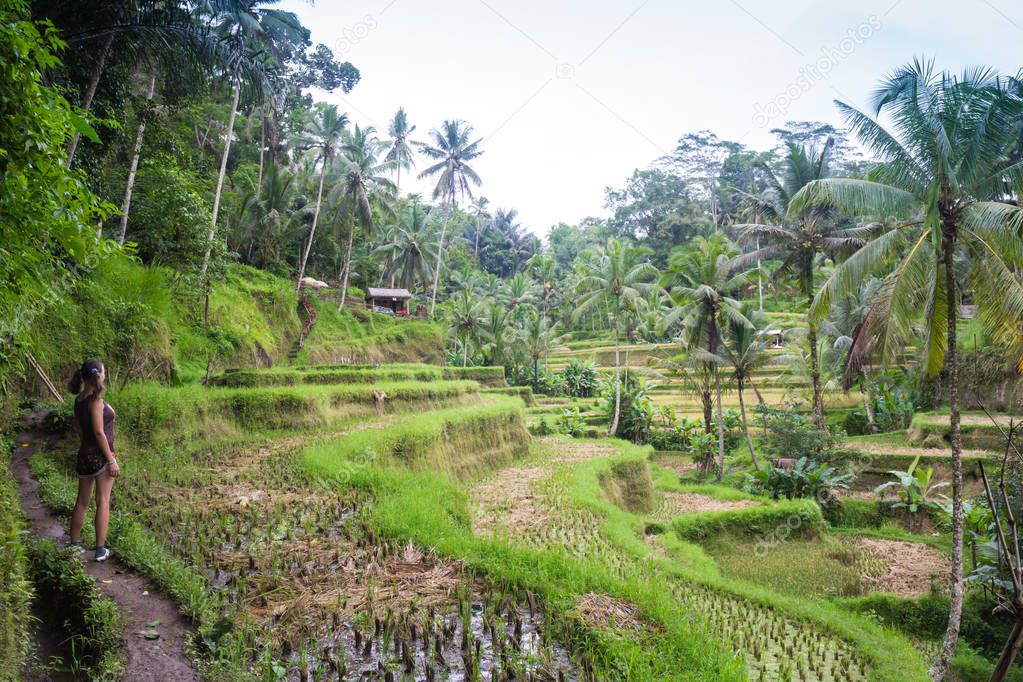 Beautiful woman looking at beautiful tegallalang rice terrace in Bali, Indonesia