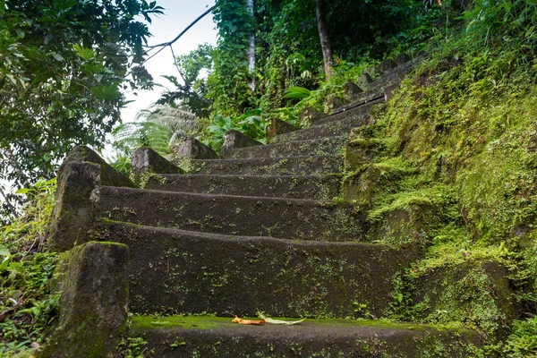 Magic stone steps going a long way up into a tunnel of freshly green dense forest. — Stock Photo, Image