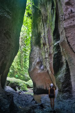 Rock Canyon ile doğal yoğun sisli orman ve ağaç üzerinde çalışan iz sırt çantası ile aktif kadın Hiking.