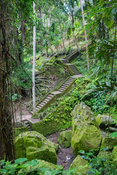 Stone slab stairs up a small hill under green tree — Stock Photo, Image