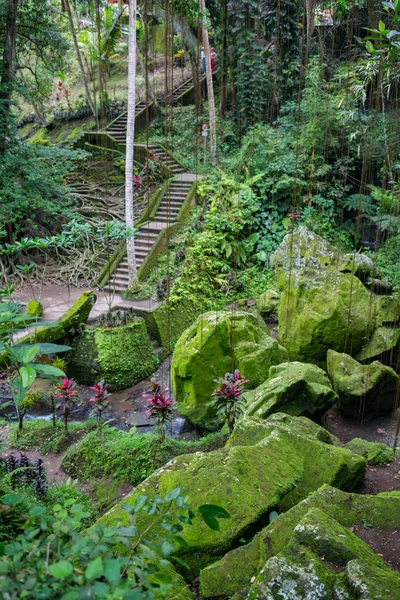 Escaleras de losa de piedra en una pequeña colina bajo un árbol verde — Foto de Stock