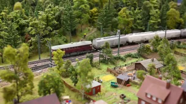 Hračky modely vlaků na trati nachází maketa - osobní vlaky — Stock video