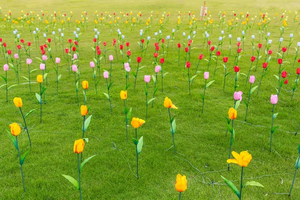 Kleurrijke tulpen op een veld in het voorjaar. — Stockfoto