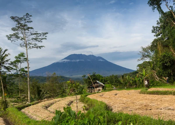 Montanha manhã vista de Strawberry Terrace Plantation com névoa macia e fundo de montanha alta, sunrist em Doi Ang Khang, terra de fazenda de morango, Chiang Mai, norte da Tailândia . — Fotografia de Stock