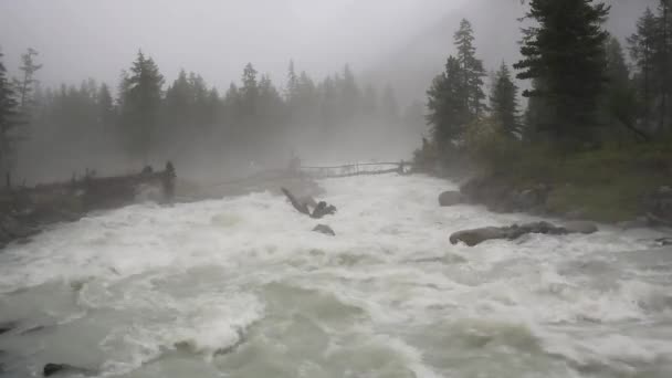 Ten film rwący rzeki wiosną pokazuje mgła i mgła nad rzeką — Wideo stockowe