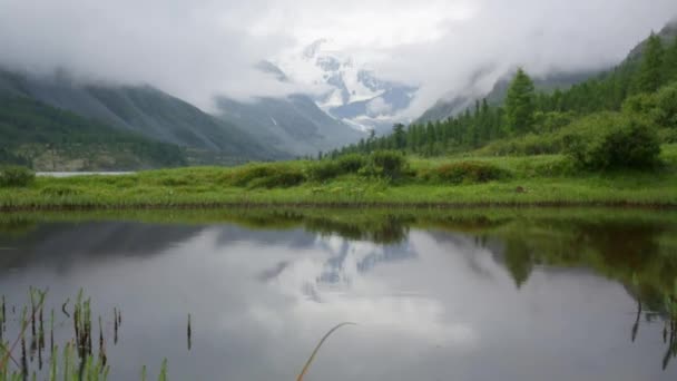 Cinemagraph. Summer nature mountain forest lake landscape, time-lapse. Video Clip