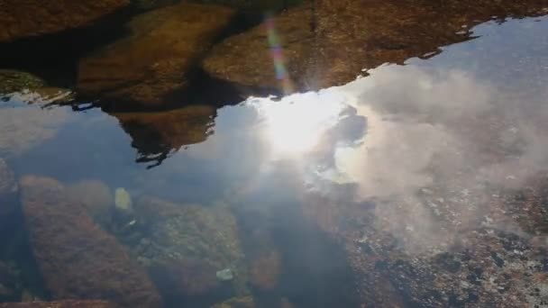 Cinemagraph. Summer nature mountain forest lake landscape, time-lapse. — Stock Video