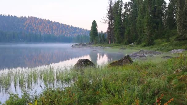 Párrafo de cine. Verano naturaleza bosque de montaña lago paisaje, time-lapse . — Vídeos de Stock