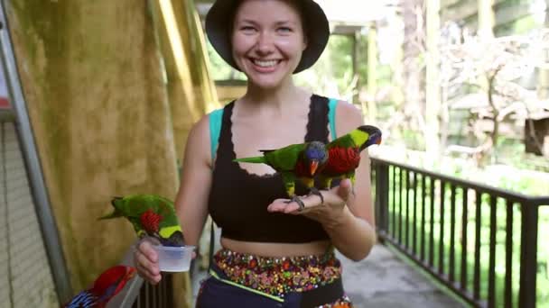 Ανθρώπου και φύσης έννοιας περιβάλλον, πουλί παπαγάλος στον νεαρό κορίτσι χέρι, Smiling γυναίκα παίζει με το κατοικίδιο πουλί. — Αρχείο Βίντεο