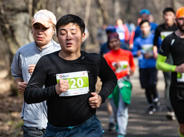 Almaty Kazachstan - 16 marca 2019: gęste Grupa niezidentyfikowanych mężczyzn i kobiet przebiega przez gaj maratonu wiosna w mieście Almaty, Grove, nazwany na cześć Baum 16 marca. — Zdjęcie stockowe