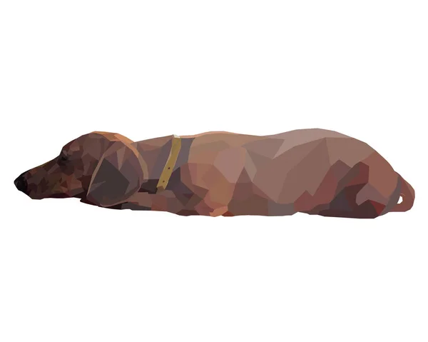 Ilustración Vectorial Perro Descansando Poli Baja — Archivo Imágenes Vectoriales