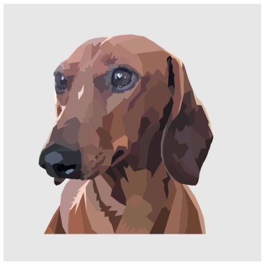 Poly Loy dachshund vektör çizimi