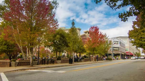 Downtown Asheville Pritchard Park Hösten Med Höst Färgade Träd Foder — Stockvideo