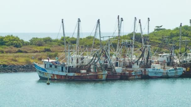 Старые Рыбацкие Лодки Пуэрто Кетцаль Гватемала Побережье Порта Центральной Америки — стоковое видео