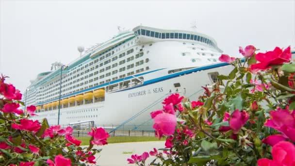 Royal Caribbean International Explorer Seas Cruiseschip Onder Roze Bloemen Terwijl — Stockvideo