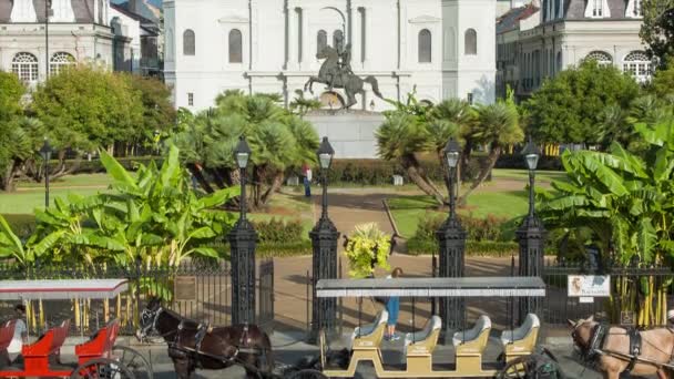 Einem Sonnigen Morgen Louisiana Mit Pferdekutschen Vordergrund Zur Kathedrale Von — Stockvideo