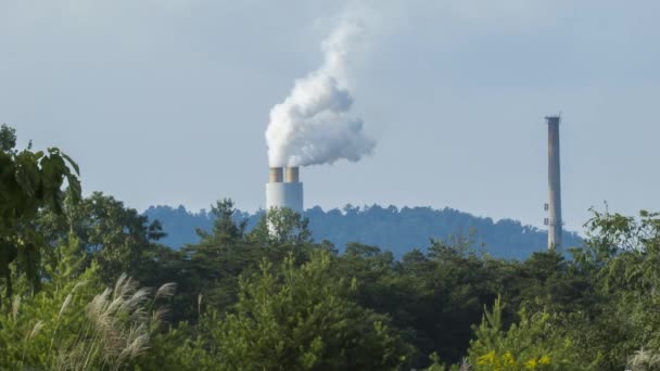 Asheville Power Plant Extracting White Steam Nestled Amongst Green Nature — Stock Video