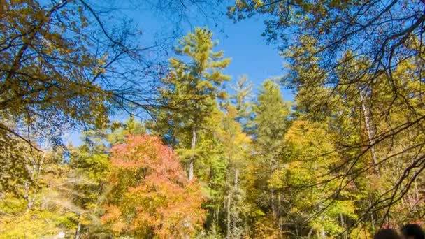 おじいちゃんマウンテンNc近くのリンビルフォールズ州立公園でリンビル川の周りの秋の色を見る橋の上の訪問者に青い空と秋の色の木から傾く — ストック動画
