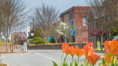 Lüks Suv Araç Downtown Hendersonville Beautiful Main Street üzerine Sürüş, Nc Batı Kuzey Carolina Blue Ridge Dağları Bahar Bloom sırasında Ön Planda Turuncu Lale Çiçekler ile Nc