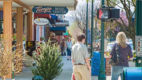 メインストリートを歩く人々は 西ノースカロライナ州のブルーリッジ山脈のヘンダーソンビルの歴史的なダウンタウンで地元の店や企業を買い物 — ストック動画