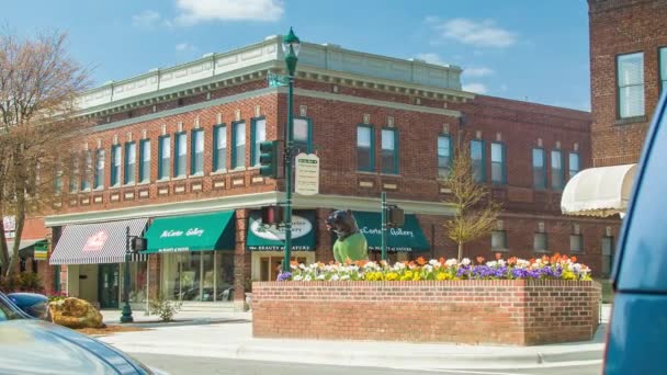 Brick Building Corner Colorful Spring Flowers Main Street Downtown Hendersonville — Video