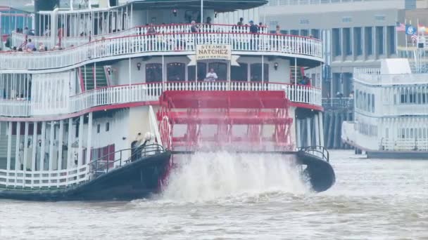 Parník Natchez Vodními Wheel Zezadu New Orleans Během Vyhlídkové Výletní — Stock video