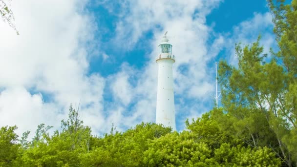 Gibbs Hill Lighthouse Southampton Bermudas Pie Entre Exuberante Vegetación Tropical — Vídeo de stock