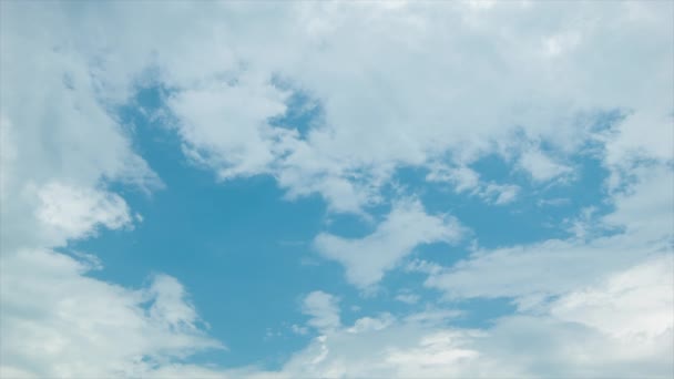 Avión Comercial Pasajeros Que Cruza Cielo Azul Con Nubes Blancas — Vídeo de stock