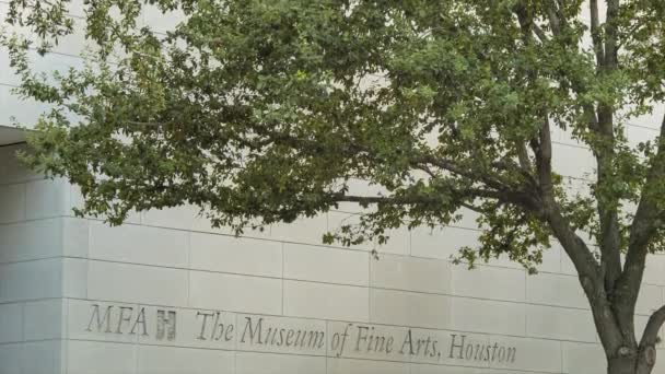 Mfah Museum Fine Arts Houston Texas Außenliegendes Gebäude Mit Baum — Stockvideo