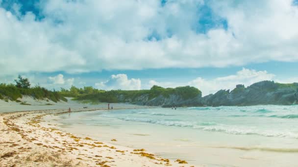 Weitwinkelblick Auf Den Tropischen Hufeisenbucht Strand Mit Kleinen Wellen Die — Stockvideo
