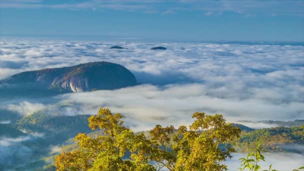 Looking Glass Rock Från Bultande Kvarn Förbise Blue Ridge Parkway — Stockvideo