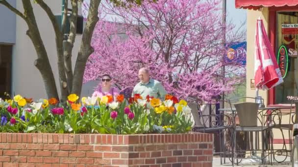 カフェの前に花とピンクの桜とピンクの桜とブルーリッジ山脈の春の間にカラフルなヘンダーソンビルノースカロライナストリートシーンと歩き回る人々 — ストック動画
