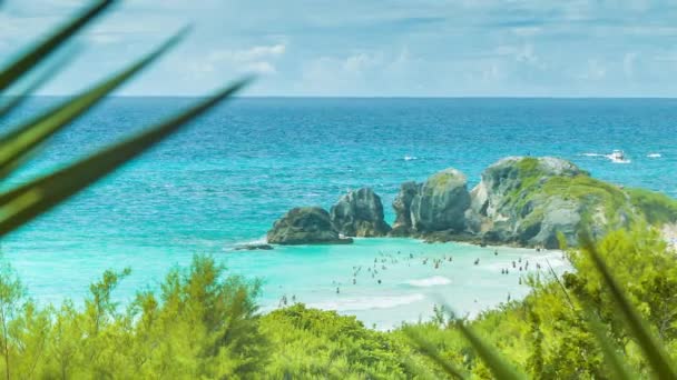大西洋諸島の美しい晴れた日に熱帯色の水で泳ぐ人々と緑豊かな緑の中でネイティブフローラを通してバミューダのホースシューベイを見る — ストック動画