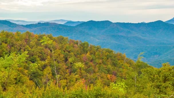 Pan Foreground Sonbahar Renkli Yaprakları Arka Planda Çok Katmanlı Appalachian — Stok video