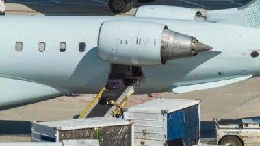 Havaalanı Bagaj İşleyicileri Bilinmeyen Bir Uçağın Konveyör Bandından Bagaj Parçalarını Alıp Sıralayarak Güneşli Bir Günde Bir Sepete Yükleyin