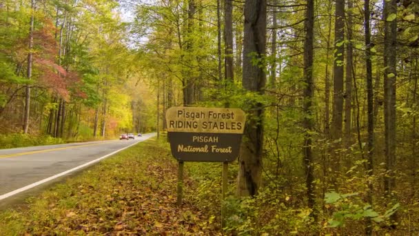 Cars Traveling Pisgah National Forest Fall Autumn Colored Tree Canopy — Stock Video