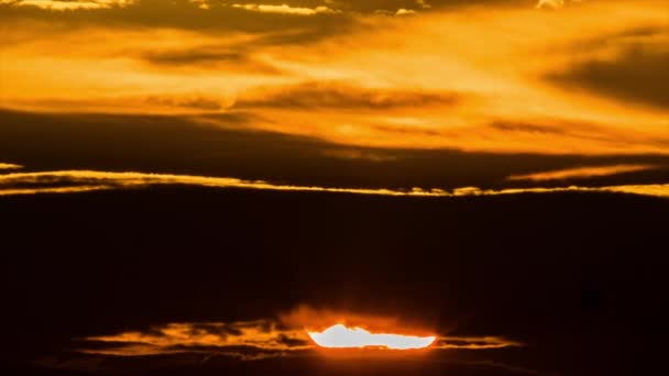 豊かで鮮やかなゴールデンオレンジの色を特徴とする地平線上の積層雲を通り過ぎる太陽とスタークの日の出のクローズアップ — ストック動画