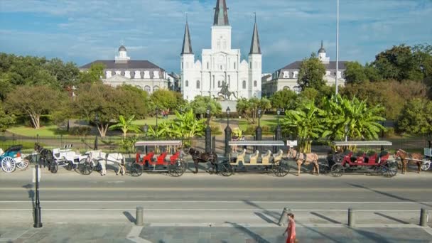 セントルイス大聖堂と ルイジアナ州の牧歌的な晴れた朝の前景の前景の人々と公園をフィーチャーしたジャクソン広場に傾斜するニューオーリンズワイドショット — ストック動画